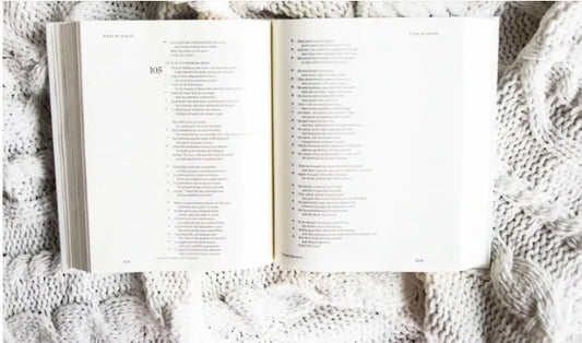 ESV Journaling Bible